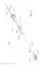Fig. 18 - Illumination sleeve