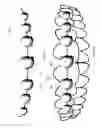 Fig. 10 - Orthodontic systems