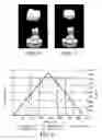 Fig. 03 - PROCESS FOR PRODUCING A SINTERED LITHIUM DISILICATE GLASS CERAMIC DENTAL RESTORATION AND KIT OF PARTS