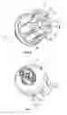 Fig. 05 - Brush head for an electrically driven toothbrush