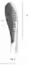 Fig. 06 - Toothbrush with biofilm-removing touch points