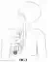 Fig. 02 - Pulmonary airflow
