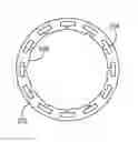 Fig. 01 - HYDROGEL JACKETED STENTS