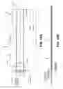 Fig. 19 - CORNEAL IMPLANT INSERTERS AND METHODS OF USE