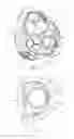 Fig. 04 - Mitral valve prosthesis