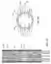 Fig. 26 - Prosthetic heart valve devices and associated systems and methods