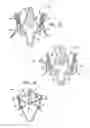 Fig. 03 - Valve suturing and implantation procedures