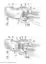 Fig. 13 - Valve suturing and implantation procedures