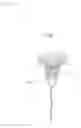 Fig. 18 - Prosthetic heart valve and systems and methods for delivering the same