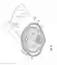 Fig. 12 - System and method for nonsurgical penile girth enhancement