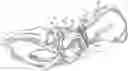 Fig. 01 - Prostheses and methods for acetabular rim restoration in quadruped mammals
