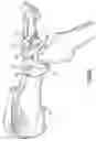 Fig. 08 - Prostheses and methods for acetabular rim restoration in quadruped mammals