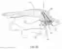 Fig. 27 - SPINAL FACET IMPLANTS WITH MATING ARTICULATING BEARING SURFACE AND METHODS OF USE
