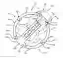 Fig. 01 - Minimally invasive collapsible cage