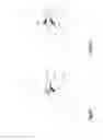 Fig. 10 - Distractible intervertebral implant