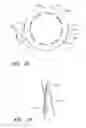 Fig. 24 - Apparatus and method of placement of a graft or graft system