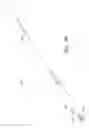 Fig. 26 - Apparatus and method of placement of a graft or graft system
