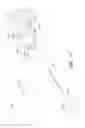 Fig. 28 - Apparatus and method of placement of a graft or graft system