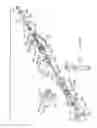 Fig. 34 - Cervical Traction System and Method