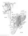 Fig. 35 - Cervical Traction System and Method