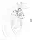 Fig. 09 - Lacrimal stent