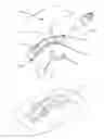 Fig. 01 - Methods and devices for applying closed incision negative pressure wound therapy