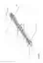 Fig. 31 - Methods and devices for applying closed incision negative pressure wound therapy