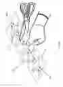Fig. 47 - Methods and devices for applying closed incision negative pressure wound therapy
