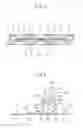 Fig. 03 - ABSORBENT BODY FOR BODY FLUID-ABSORBING ARTICLES