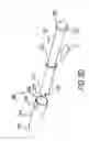 Fig. 07 - Package assembly for or with a tampon applicator