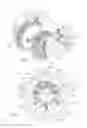 Fig. 08 - Methods and apparatus for application of nested zero waste ear to traveling web