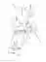 Fig. 01 - Seated inversion table