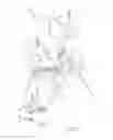 Fig. 05 - Seated inversion table
