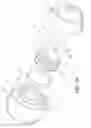 Fig. 05 - Lip enhancement and enlargement device