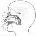 Fig. 01 - Treatment of headache disorders
