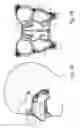 Fig. 02 - Treatment of headache disorders