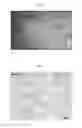 Fig. 03 - Method for inducing pluripotent stem cells and pluripotent stem cells prepared by said method