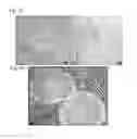 Fig. 04 - Method for inducing pluripotent stem cells and pluripotent stem cells prepared by said method
