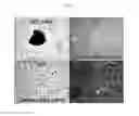 Fig. 05 - Method for inducing pluripotent stem cells and pluripotent stem cells prepared by said method