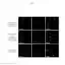 Fig. 10 - Method for inducing pluripotent stem cells and pluripotent stem cells prepared by said method