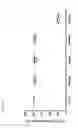 Fig. 08 - Liposomal formulations for delivery of nucleic acids