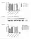 Fig. 11 - Liposomal formulations for delivery of nucleic acids