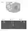Fig. 12 - Liposomal formulations for delivery of nucleic acids