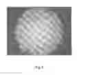 Fig. 07 - Tamper resistant dosage forms