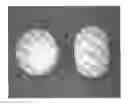 Fig. 01 - Tamper resistant dosage forms
