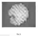 Fig. 10 - Tamper resistant dosage forms