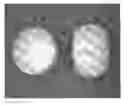 Fig. 01 - Tamper resistant dosage forms