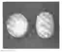 Fig. 01 - Tamper resistant dosage forms