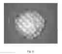 Fig. 09 - Tamper resistant dosage forms
