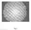 Fig. 06 - Tamper resistant dosage forms
